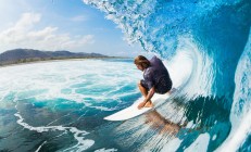 开云体育入口-当鹪鹩力克福建队，一则关于鹈鹕、火焰与胜利的寓言