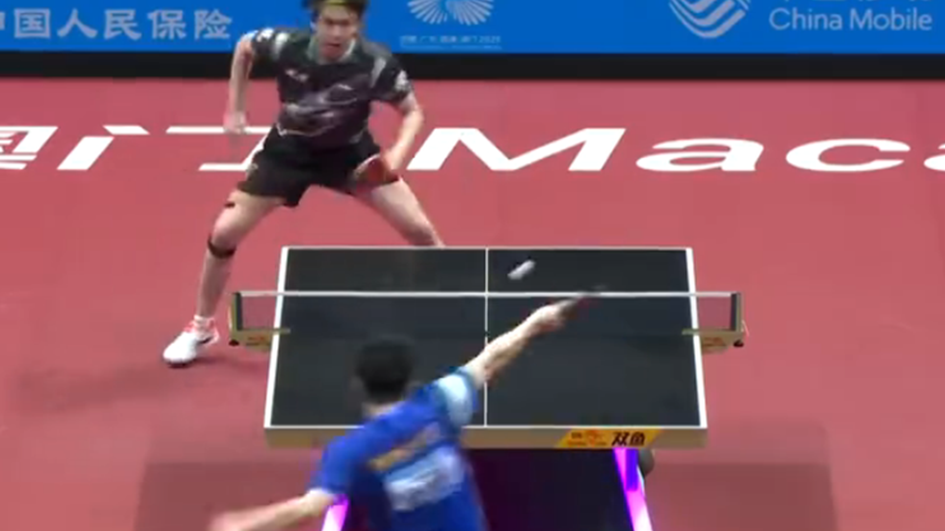 奥地利队翻盘英格兰队，樊振东状态火热的简单介绍