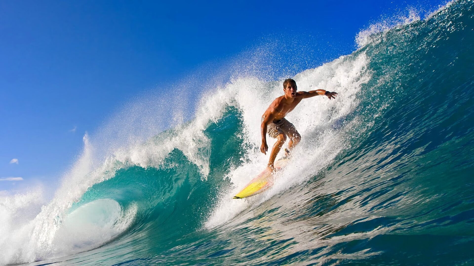 坎特一锤定音,拜仁对阵勒沃库森中的巨星闪耀时刻